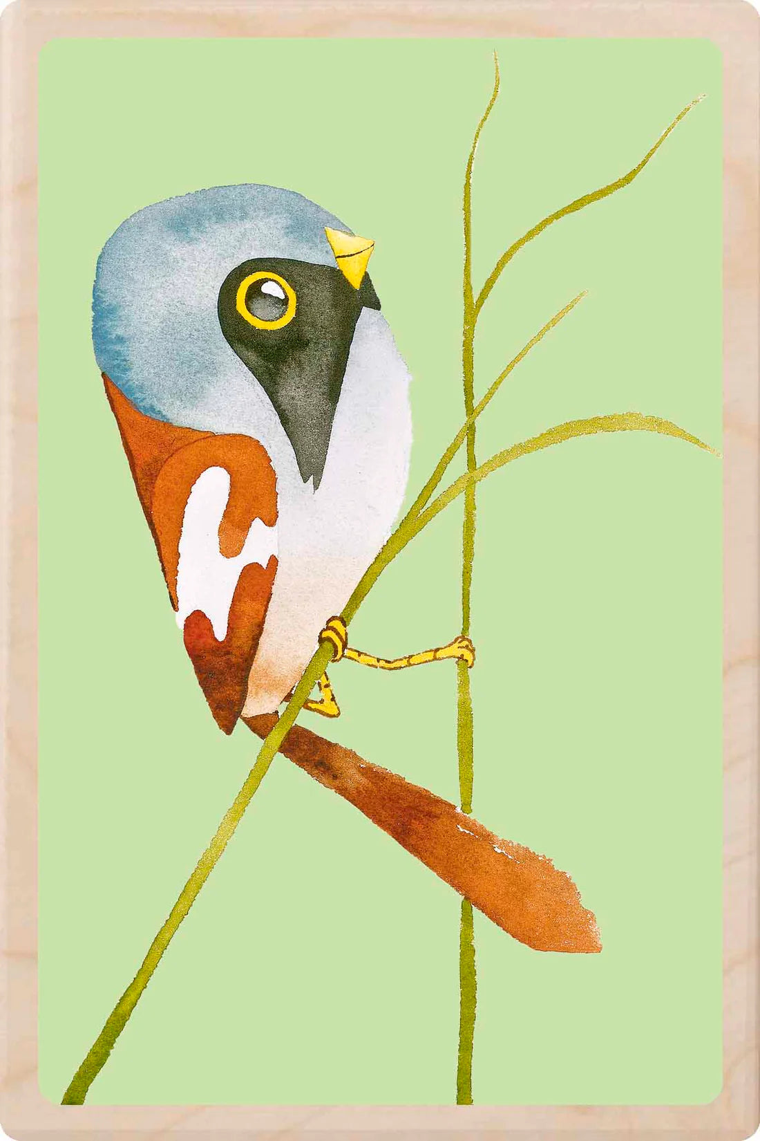 Bearded Tit Wooden Postcard