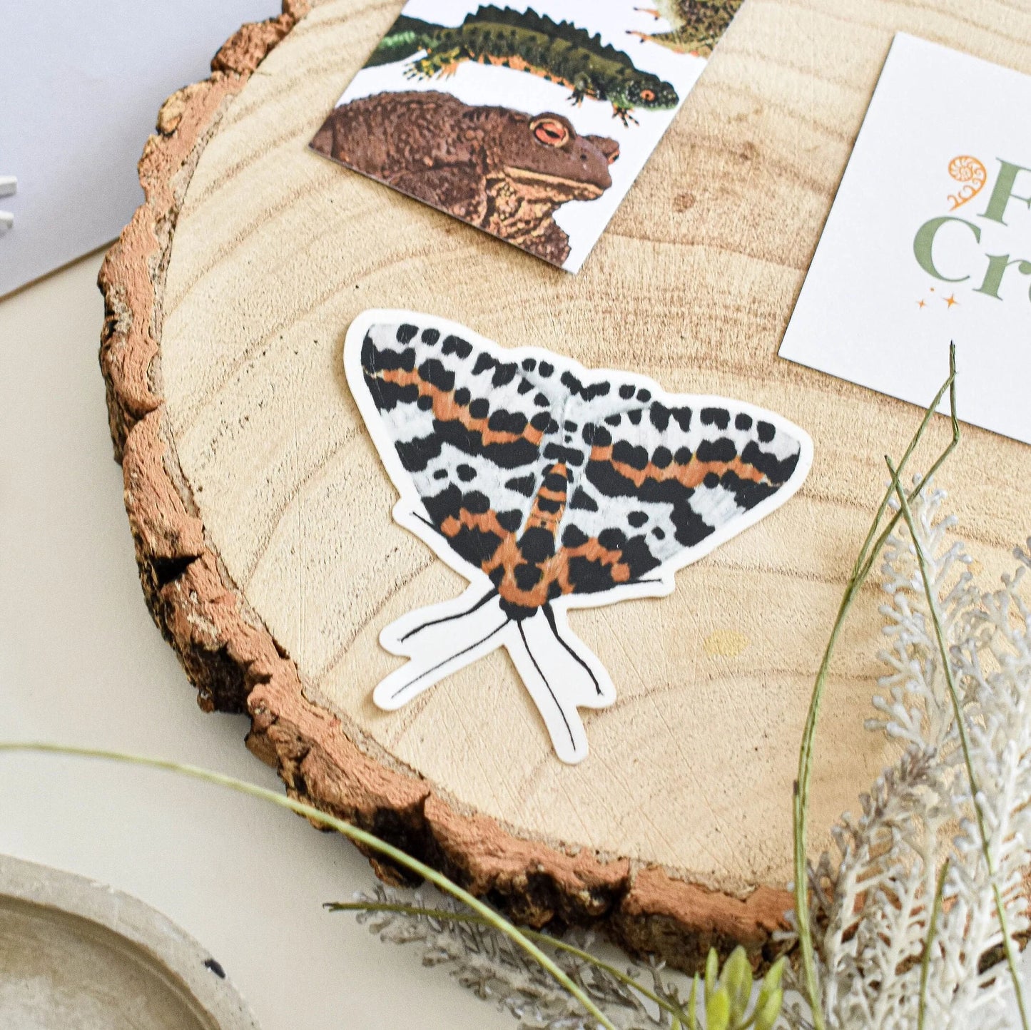 Magpie Moth - Vinyl Sticker