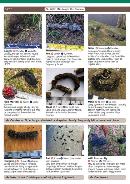 Mammal Tracks and Signs - Wild ID Guide