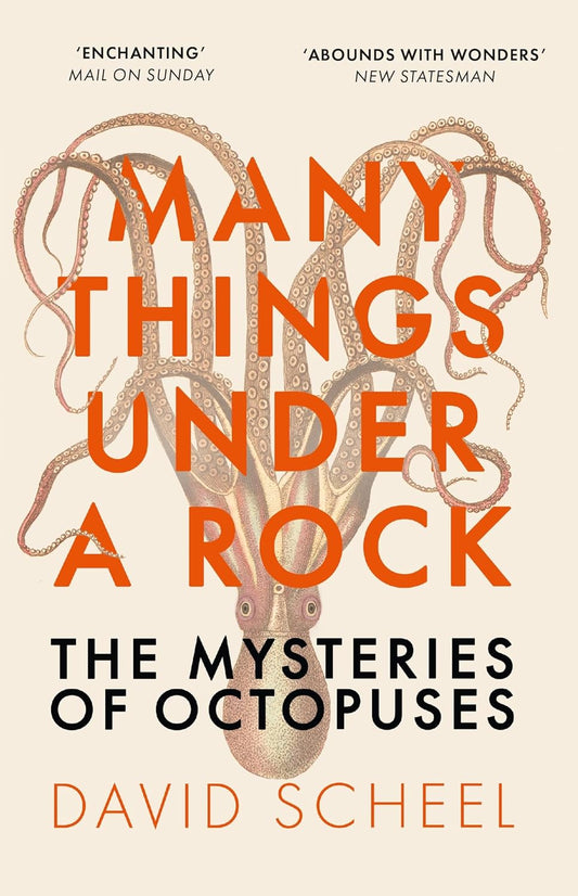 Many Things Under a Rock - By David Scheel