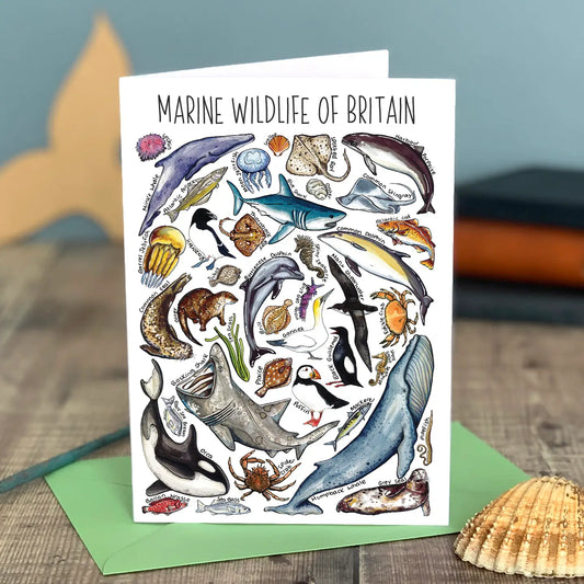 Marine Wildlife - Greetings Card