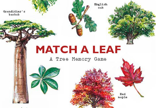 Match a Leaf: A Tree Memory Card Game