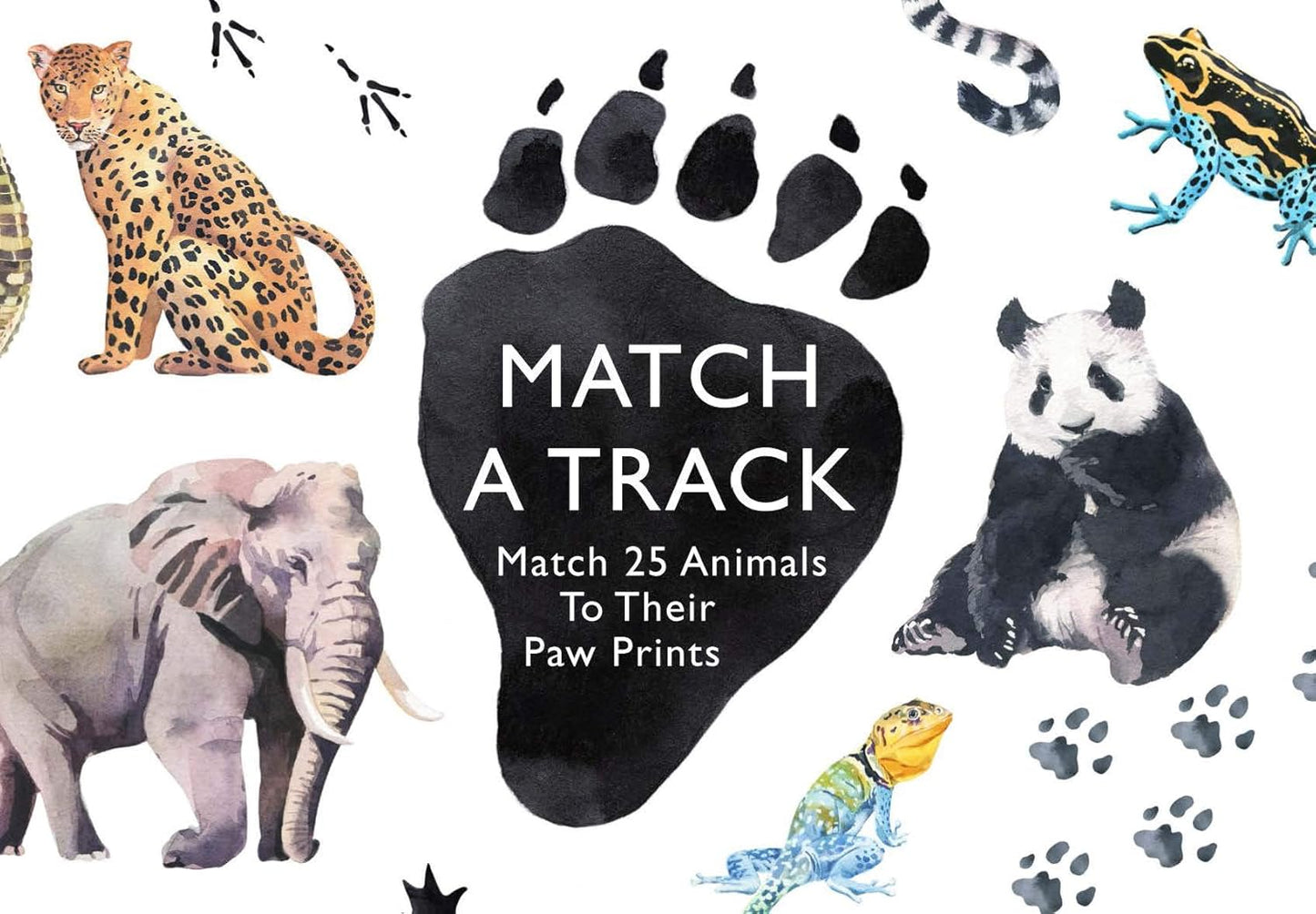 Match a Track: A Wildlife Memory Card Game