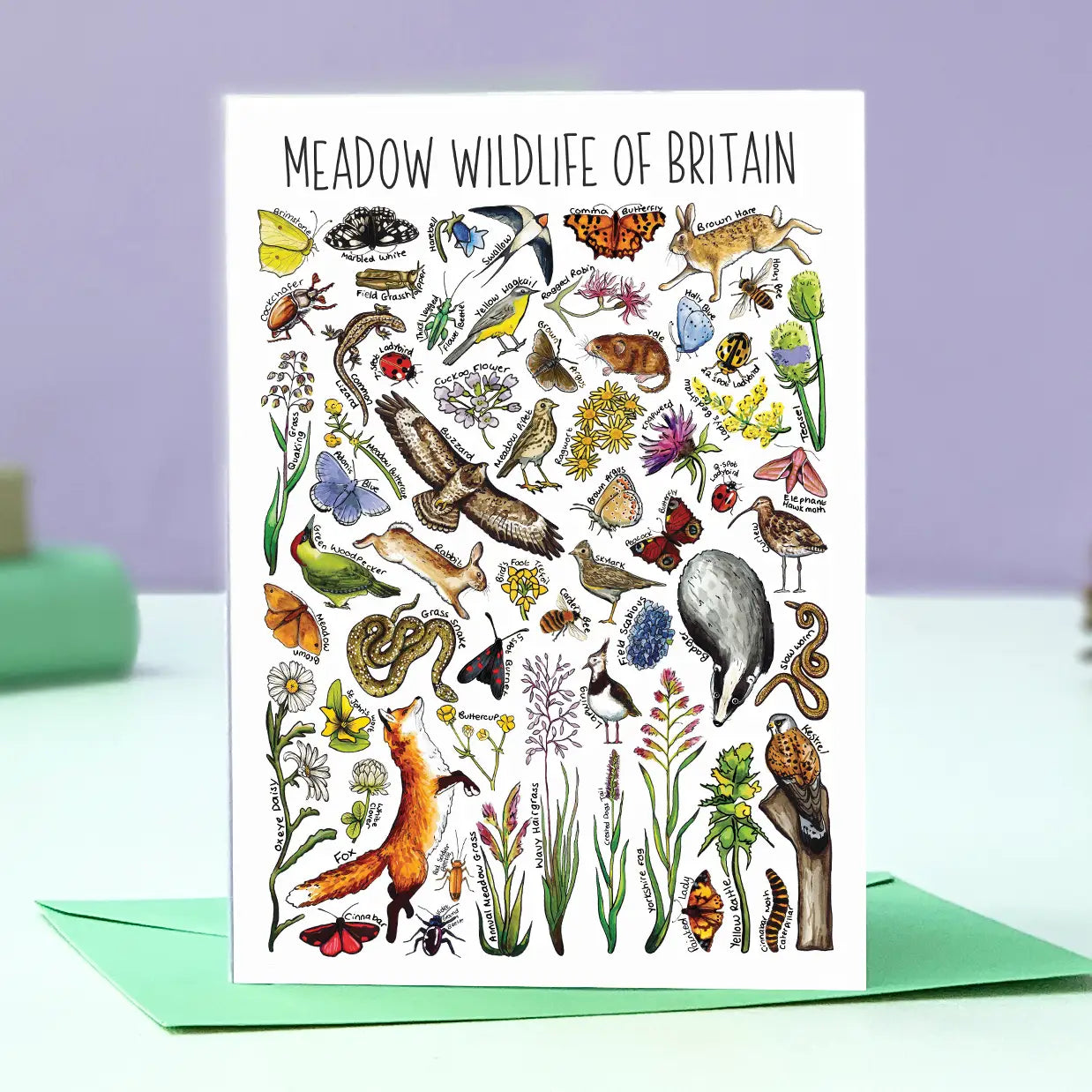 Meadow Wildlife - Greetings Card