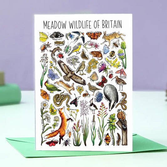 Meadow Wildlife - Greetings Card
