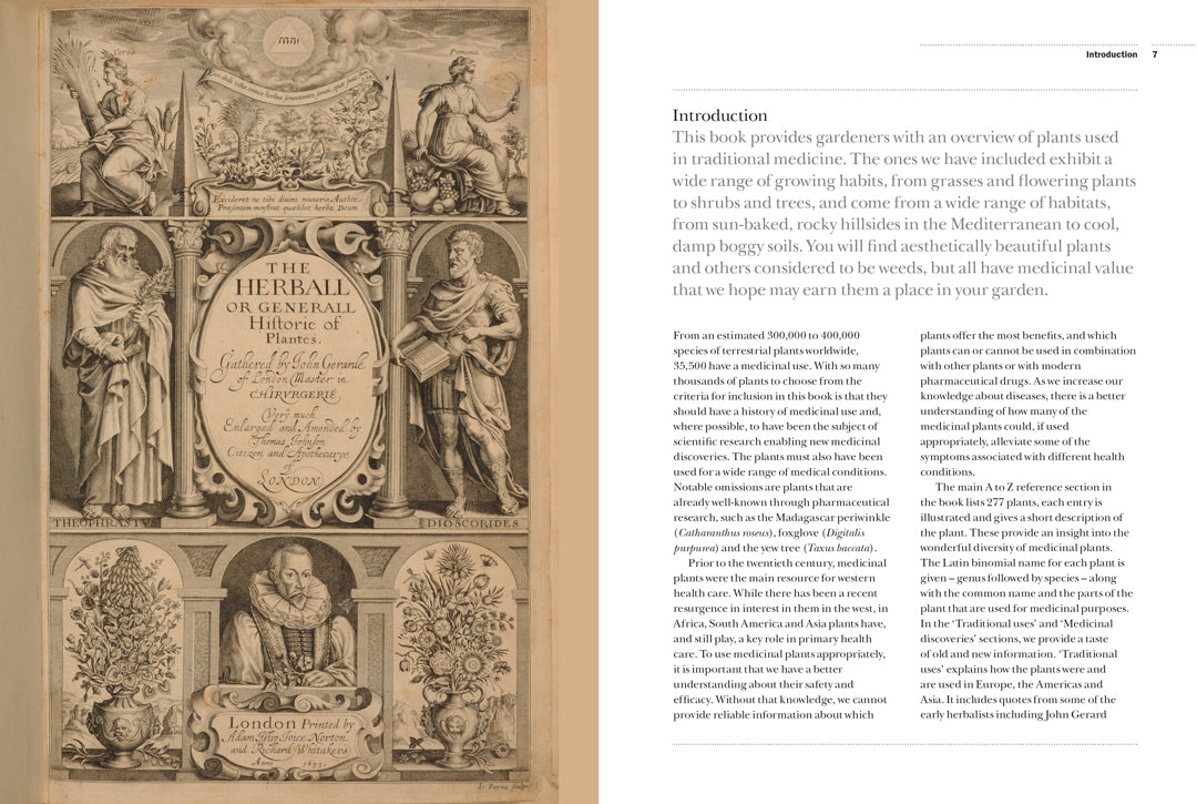 The Gardener's Companion to Medicinal Plants - By Jason Irving