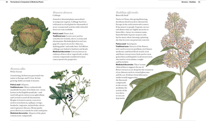 The Gardener's Companion to Medicinal Plants - By Jason Irving