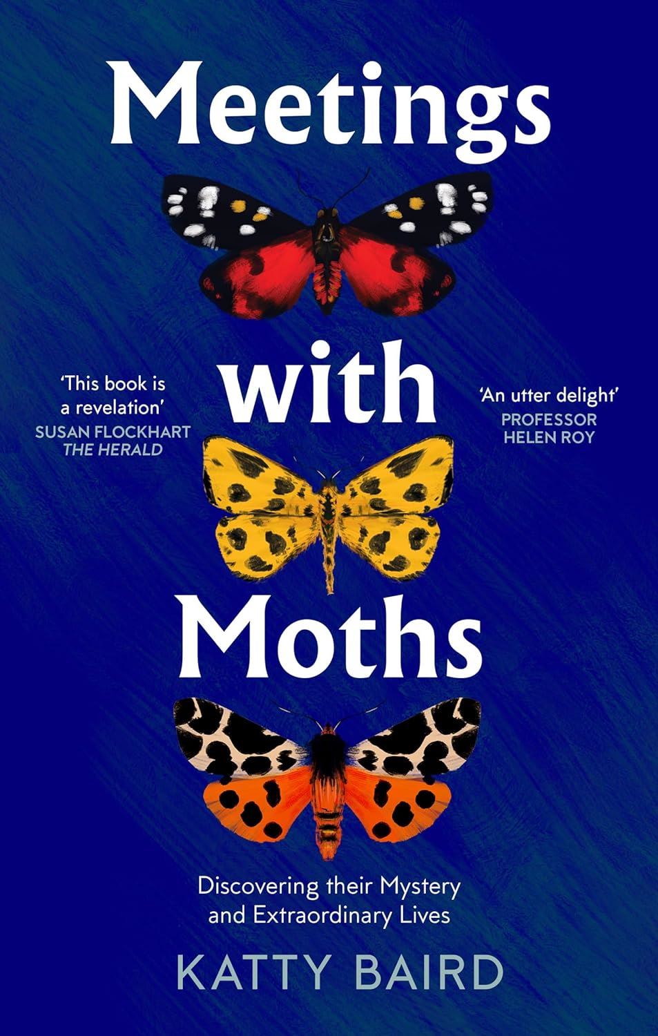 Meetings with Moths - By Katty Baird