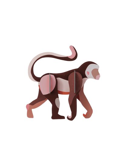 Monkey - StudioROOF
