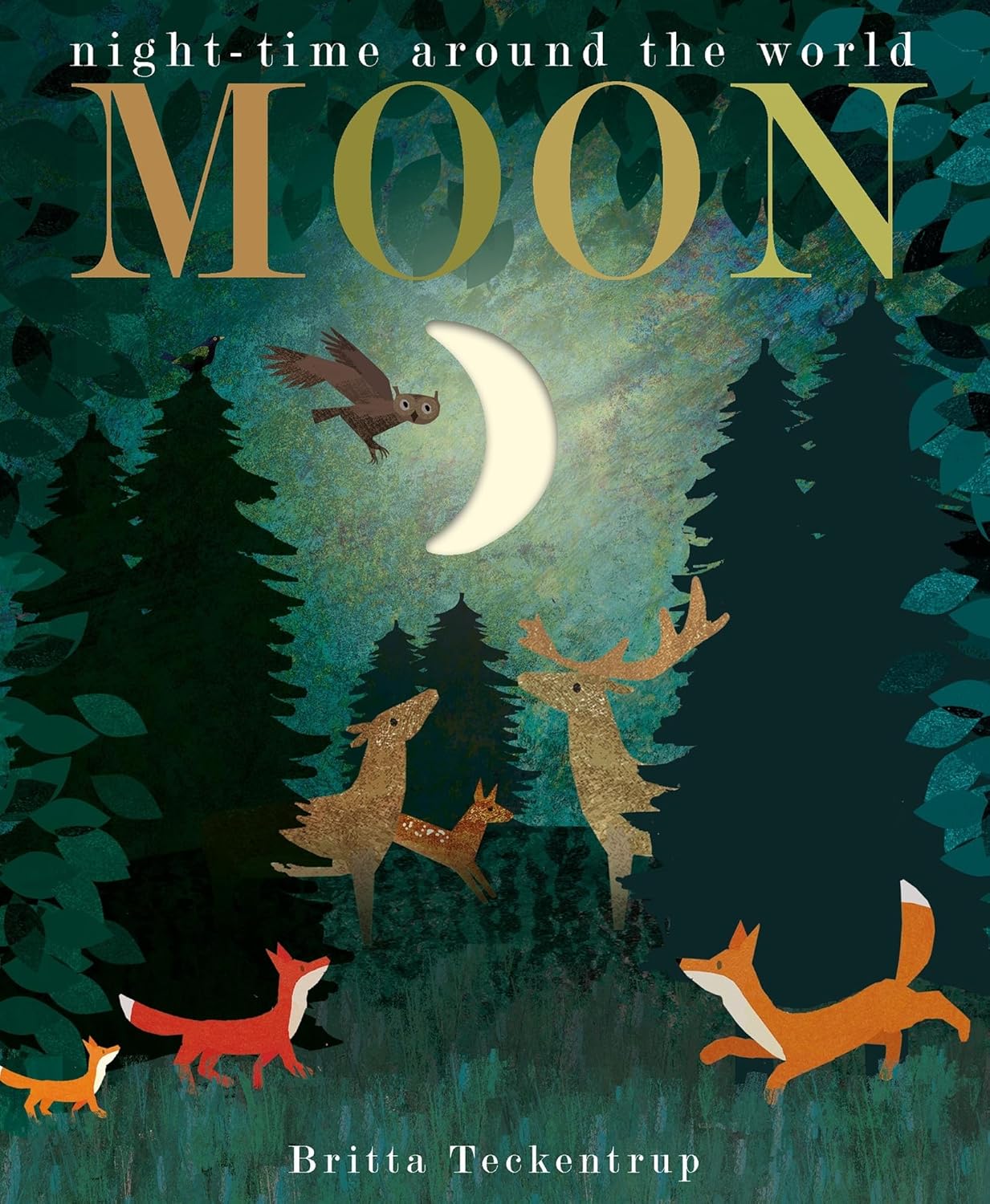Moon: Night-time Around the World - By Britta Teckentrup