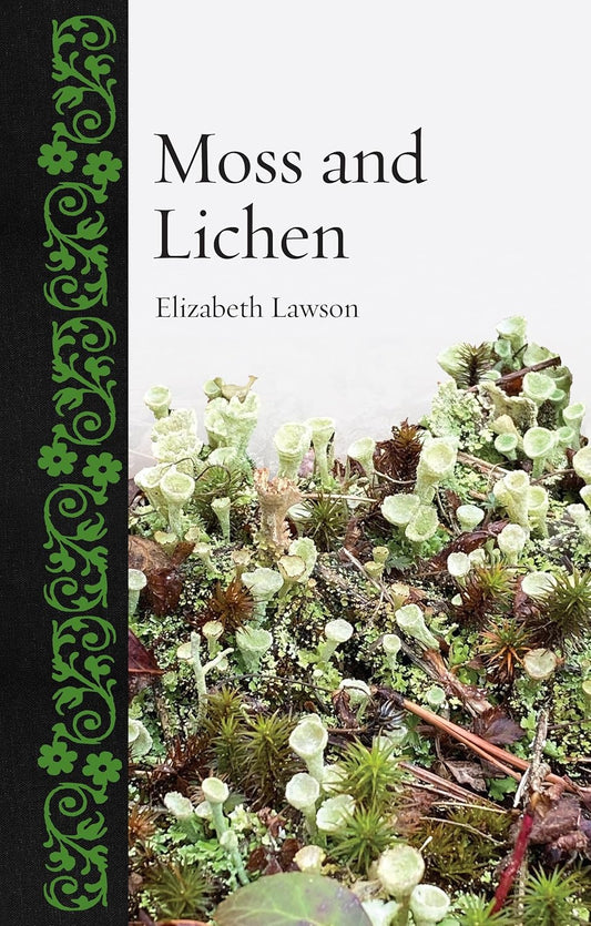 Moss and Lichen - By Elizabeth Lawson