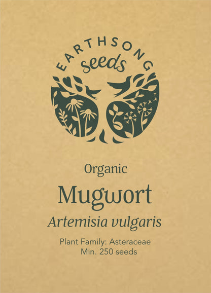 Mugwort - Seed Packet