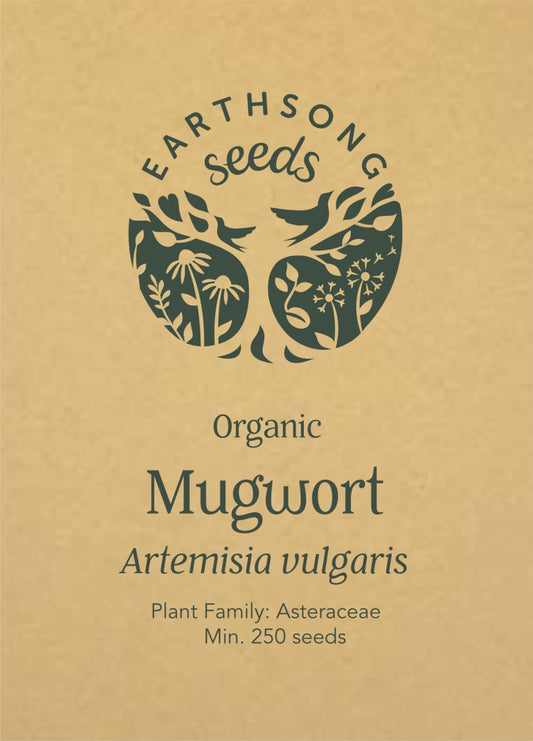 Mugwort - Seed Packet