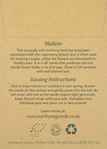 Mullein - Seed Packet