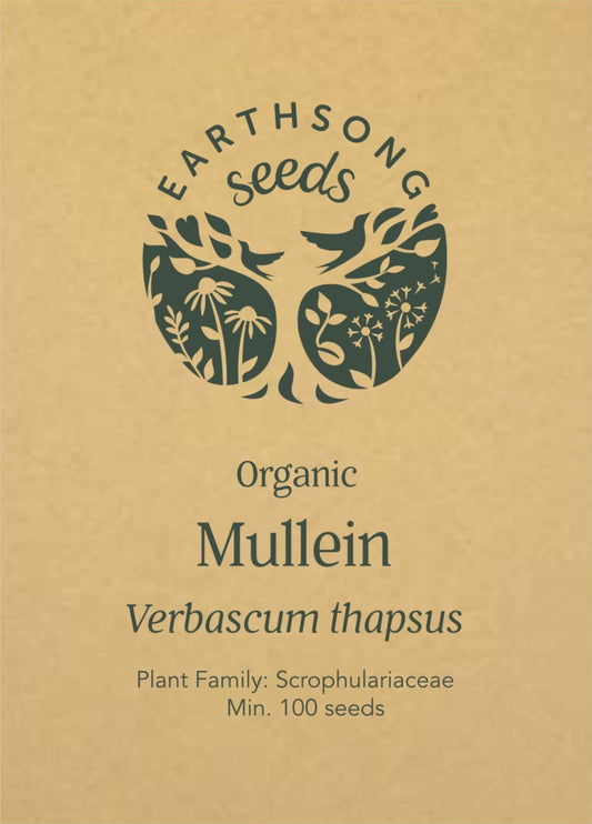 Mullein - Seed Packet