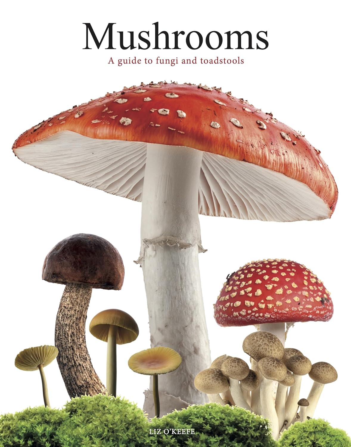 Mushrooms: A Guide to Fungi and Toadstools - By Liz O’Keefe