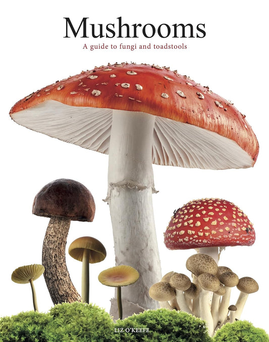 Mushrooms: A Guide to Fungi and Toadstools - By Liz O’Keefe