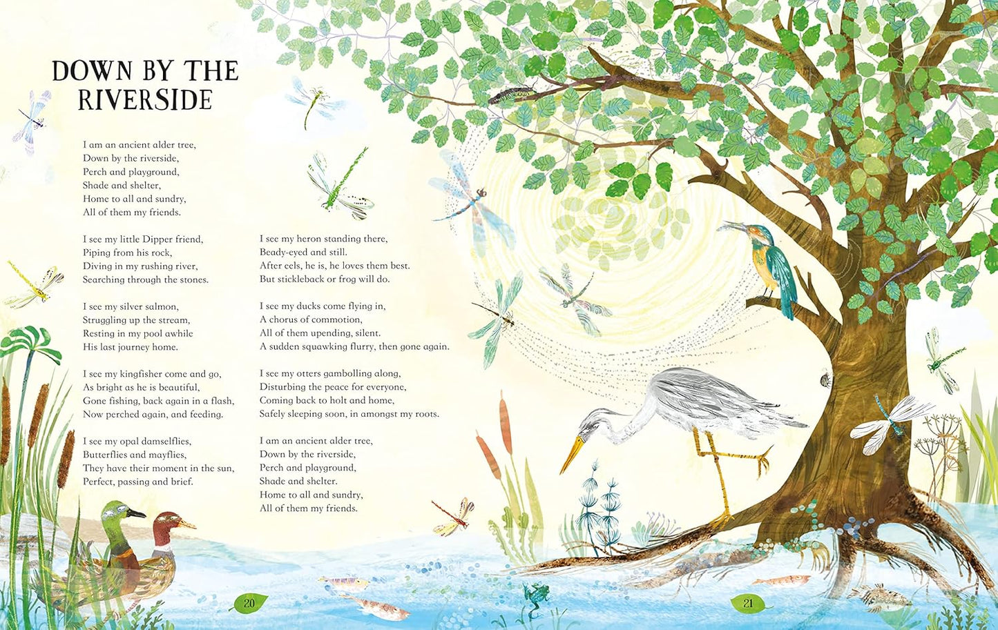 My Heart was a Tree: Poems and Stories to Celebrate Trees - By Michael Morpurgo & Yuval Zommer