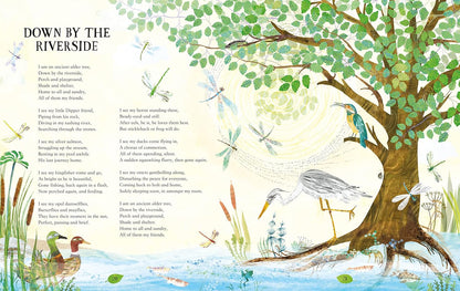 My Heart was a Tree: Poems and Stories to Celebrate Trees - By Michael Morpurgo & Yuval Zommer