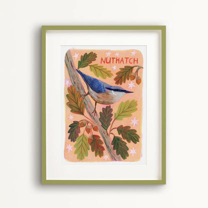 Nuthatch Art Print