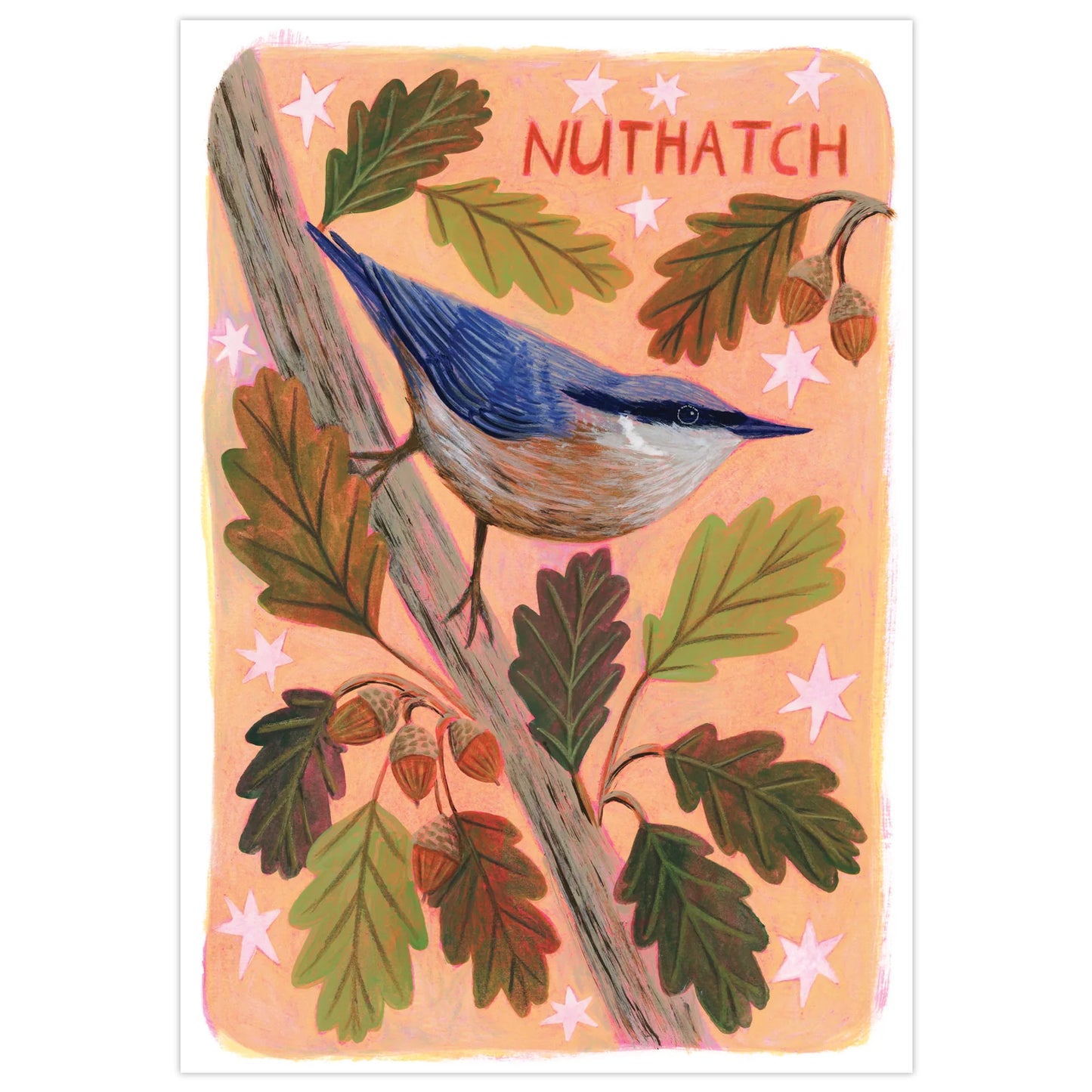 Nuthatch Art Print