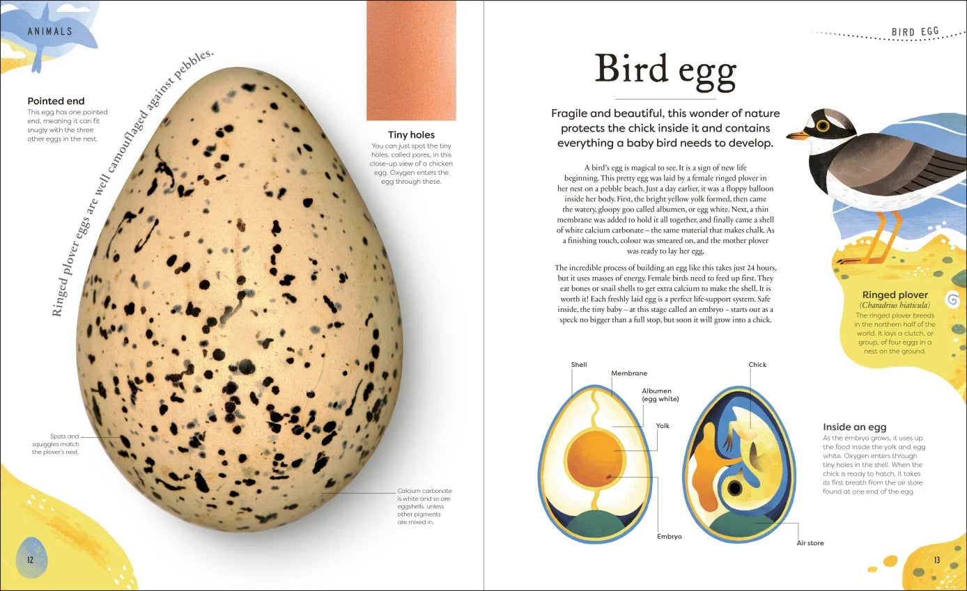 Nature's Treasures - By Ben Hoare
