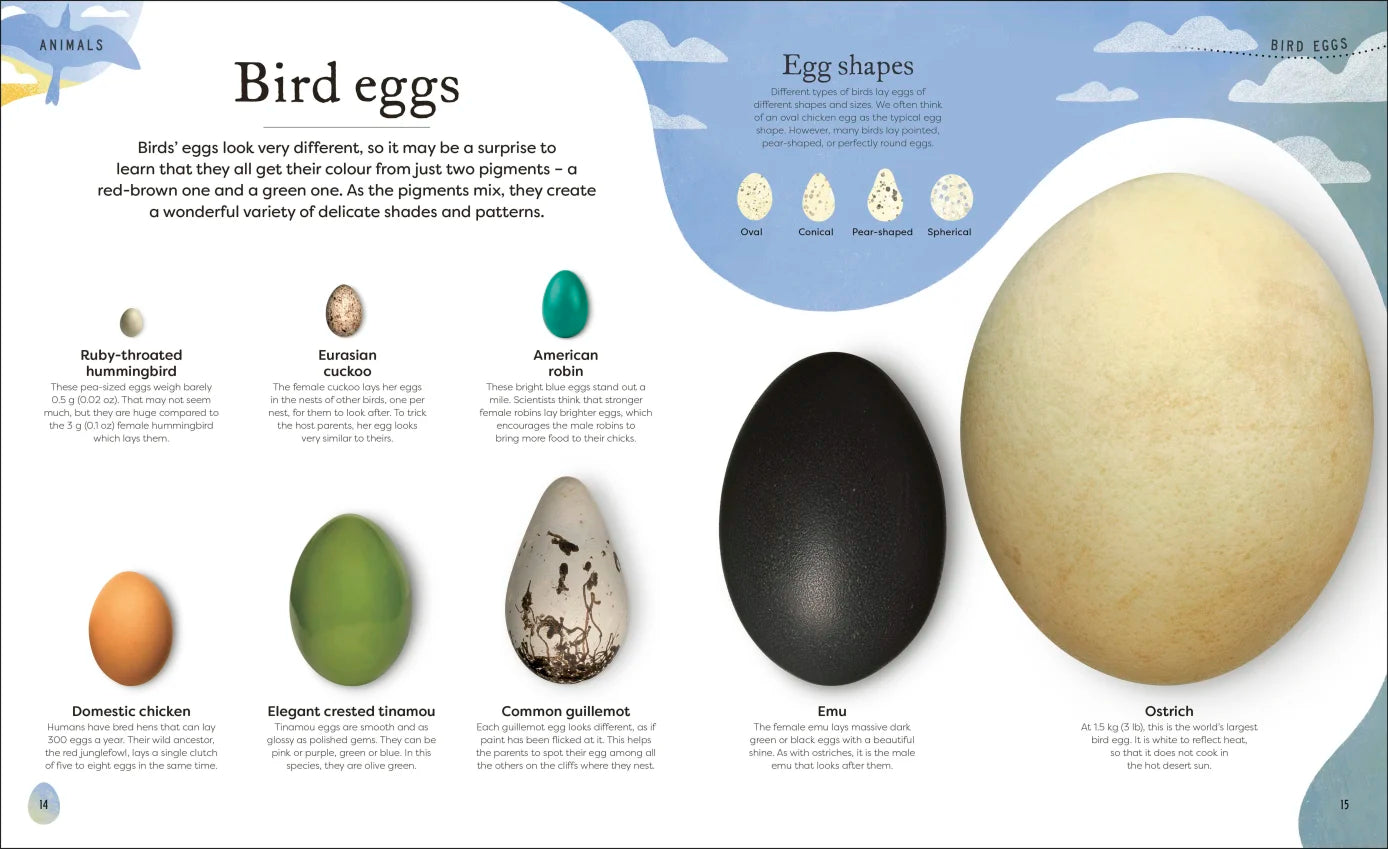 Nature's Treasures - By Ben Hoare