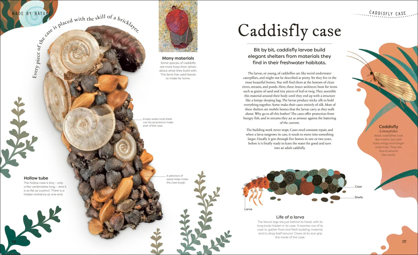 Nature's Treasures - By Ben Hoare