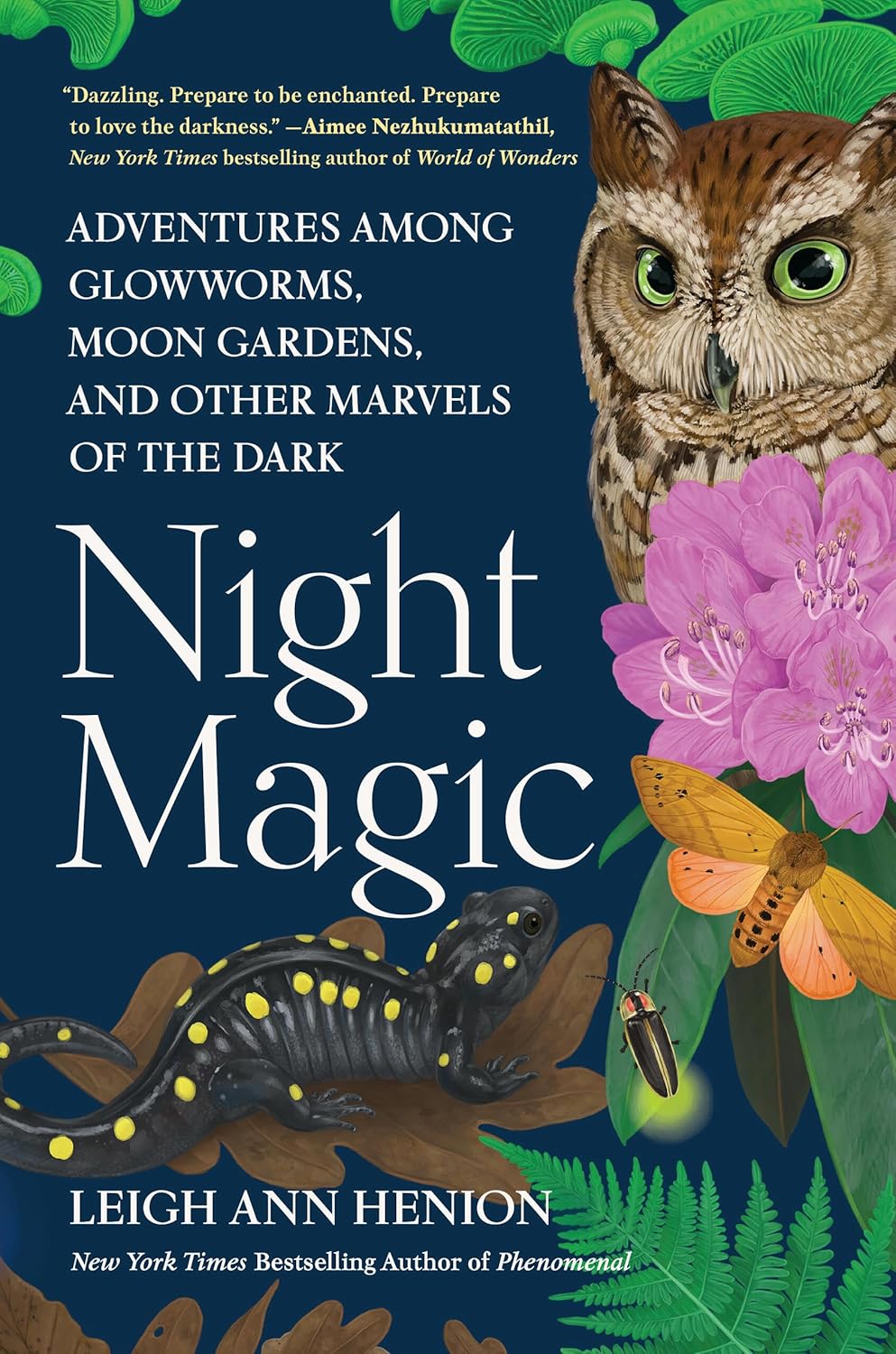 Night Magic - By Leigh Ann Henson