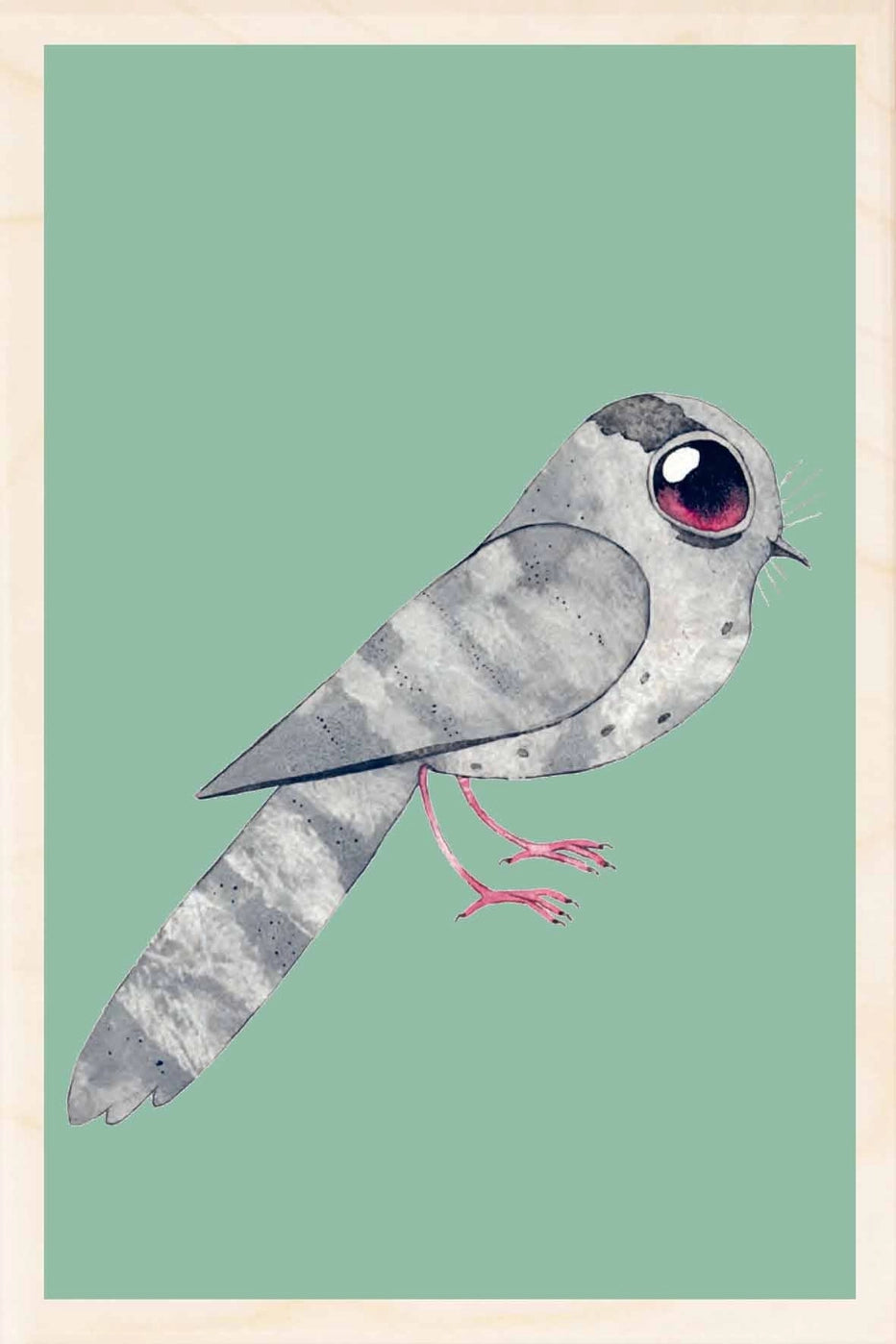 Owlet Nightjar Wooden Postcard