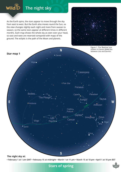 Night Sky - Wild ID Guide