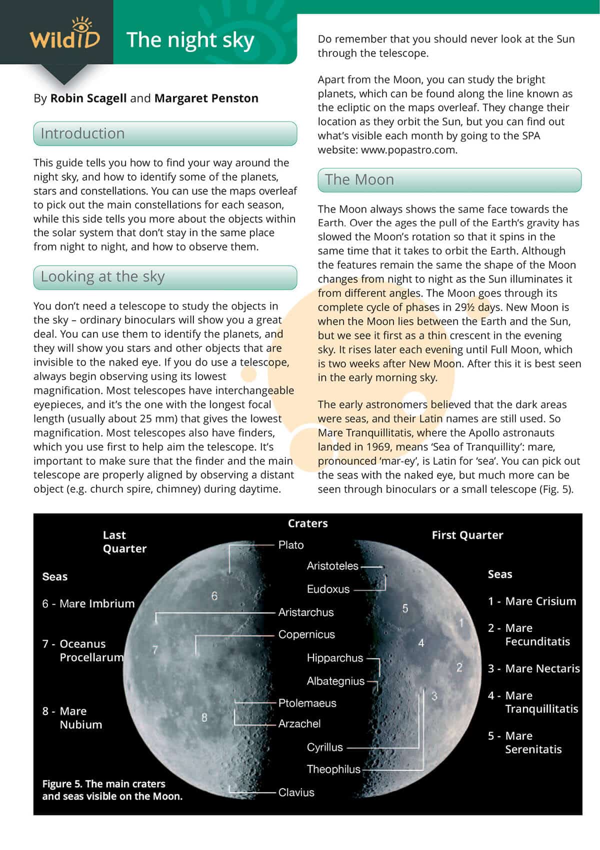 Night Sky - Wild ID Guide