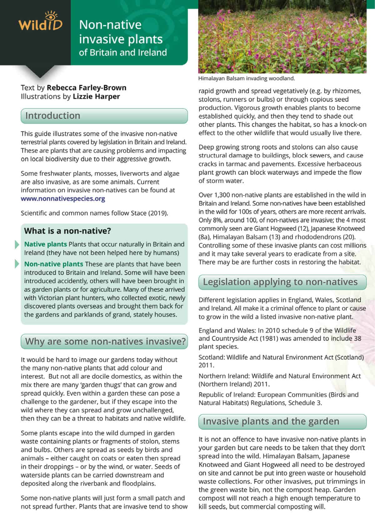 Non-Native Invasive Plants of Britain and Ireland - Wild ID Guide