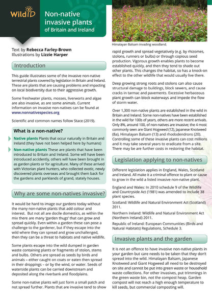 Non-Native Invasive Plants of Britain and Ireland - Wild ID Guide