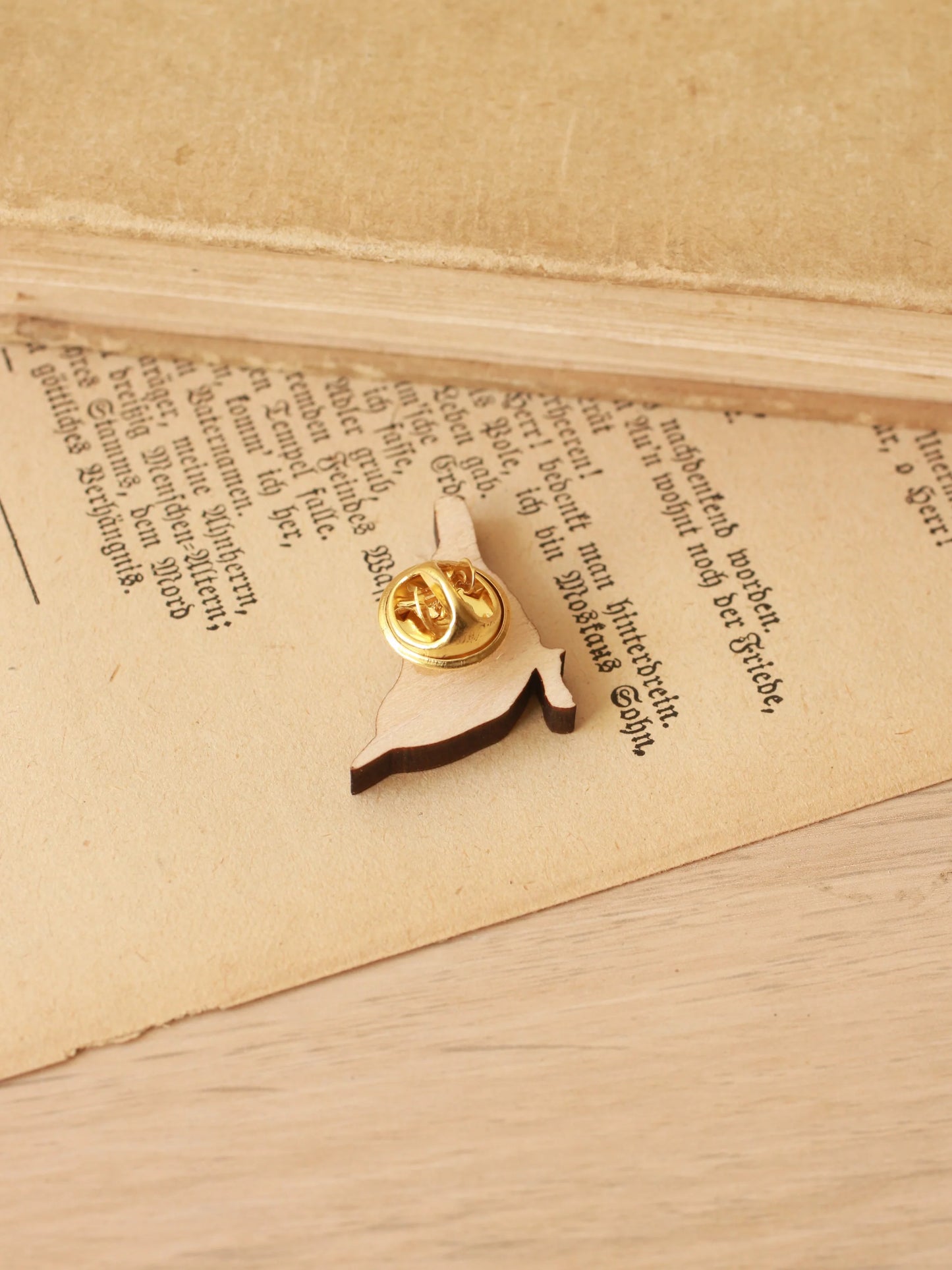 Nuthatch Pin