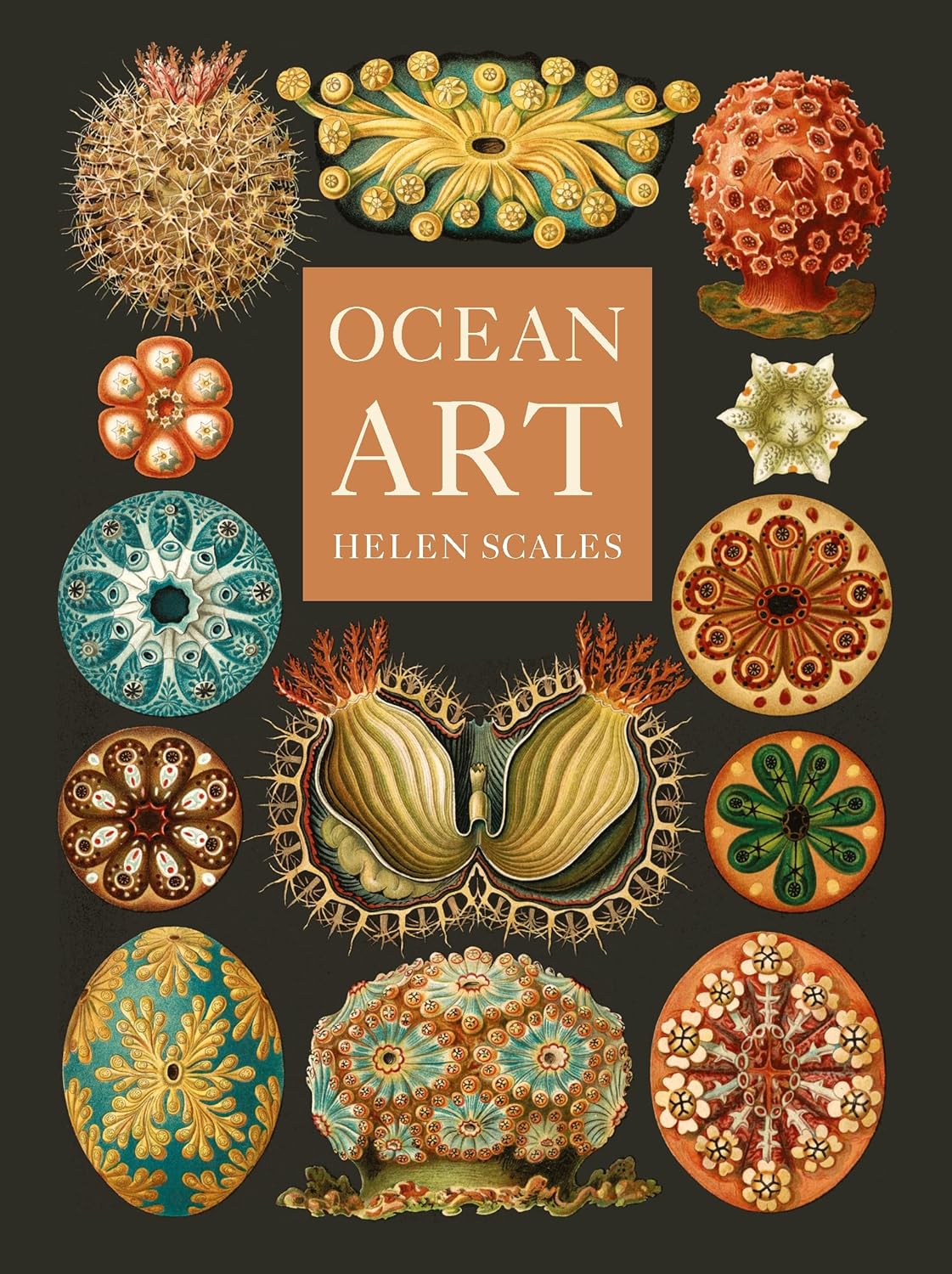 Ocean Art - By Helen Scales