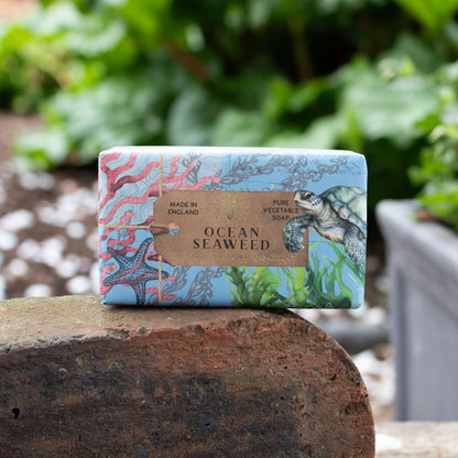 Ocean Seaweed Soap Bar