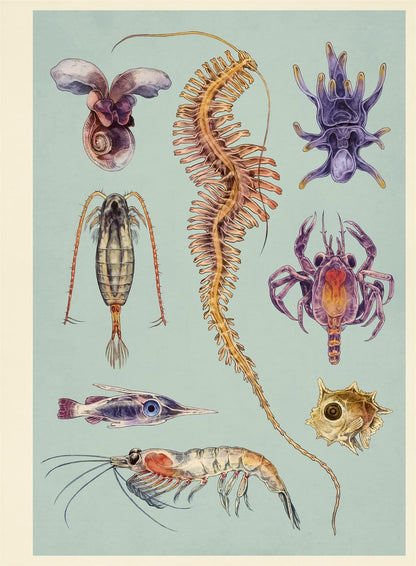 Oceanarium Poster Book - by Loveday Trinick