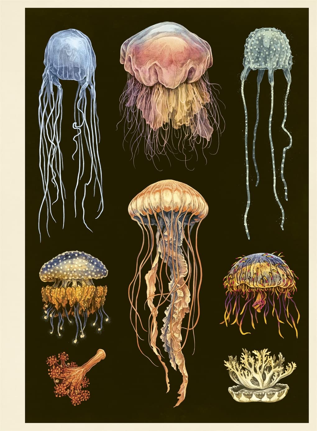 Oceanarium Poster Book - by Loveday Trinick