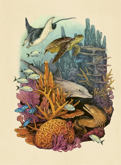 Oceanarium Poster Book - by Loveday Trinick
