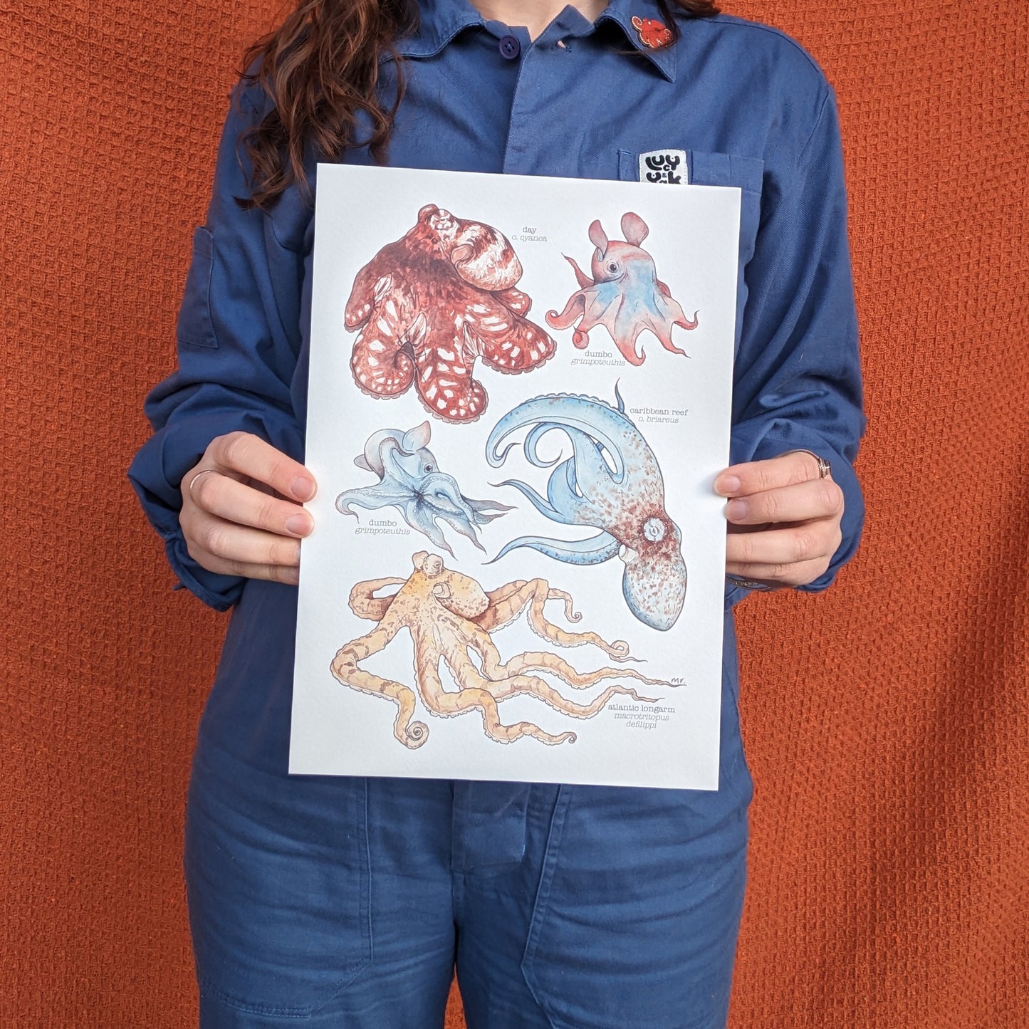 Octopus Species Art Print - A5