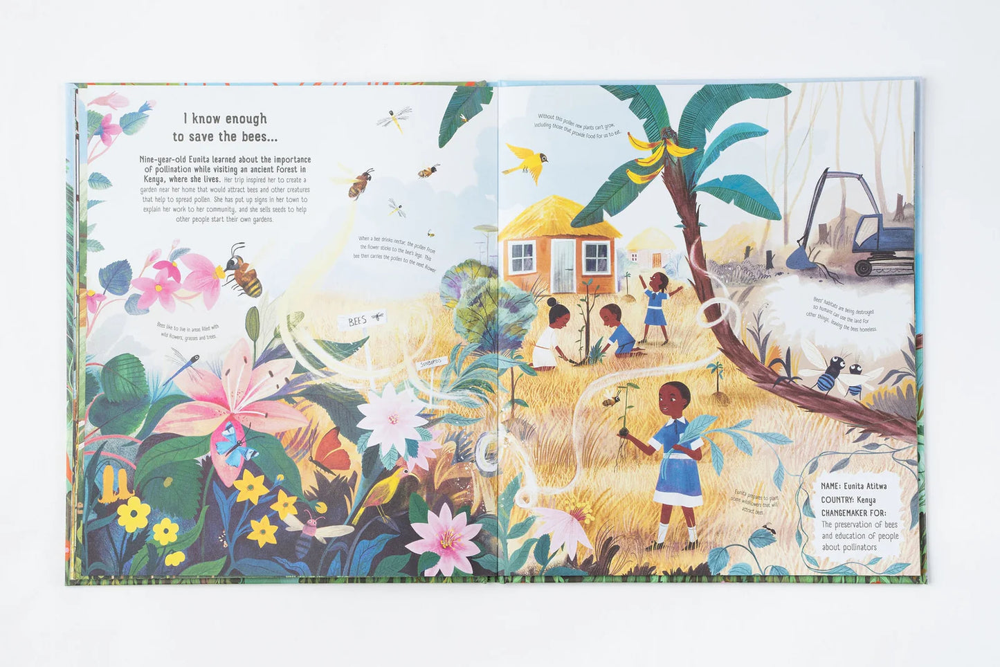 Old Enough to Save the Planet - By Loll Kirby, Illustrated by Adelina Lirius