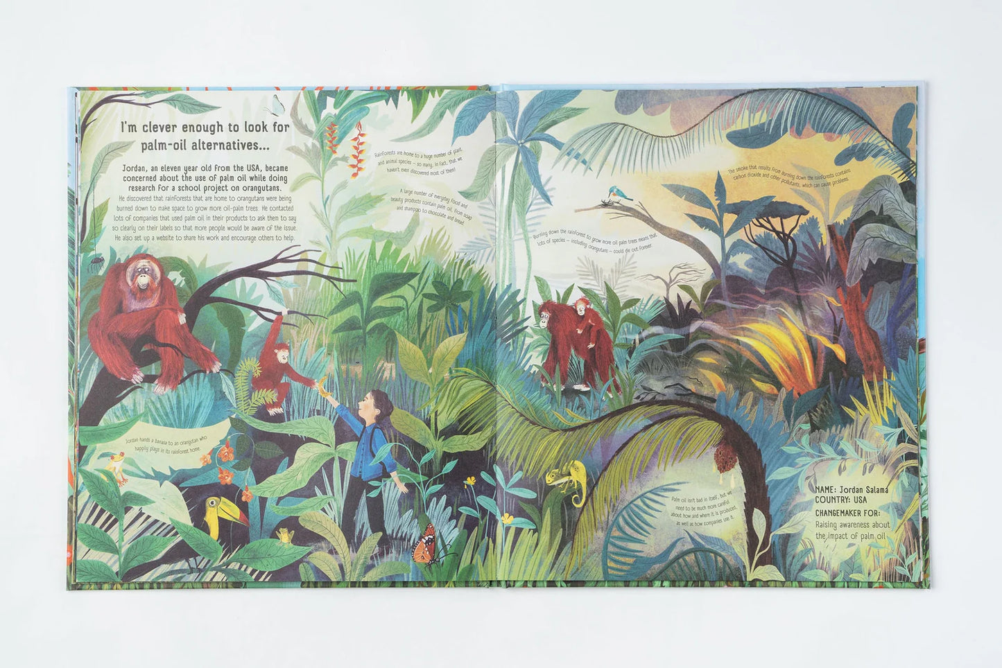 Old Enough to Save the Planet - By Loll Kirby, Illustrated by Adelina Lirius