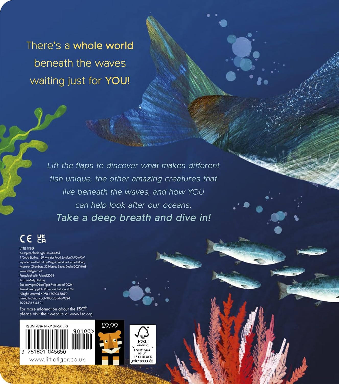 One Little Fish - By Molly Littleboy & Bryony Clarkson