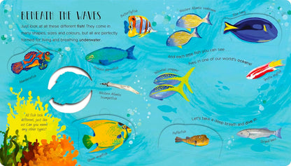 One Little Fish - By Molly Littleboy & Bryony Clarkson