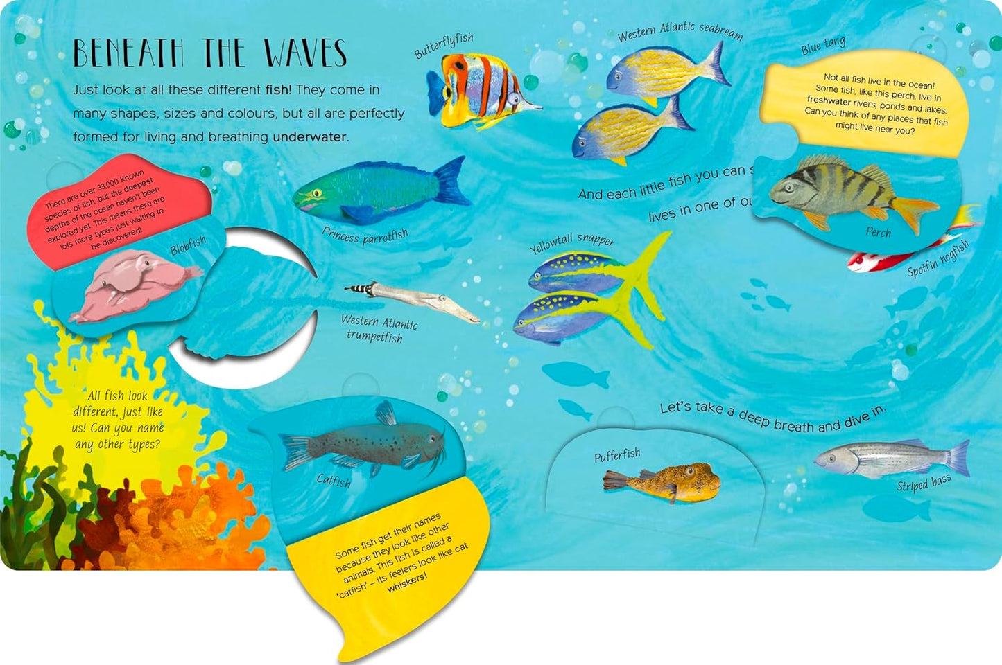 One Little Fish - By Molly Littleboy & Bryony Clarkson