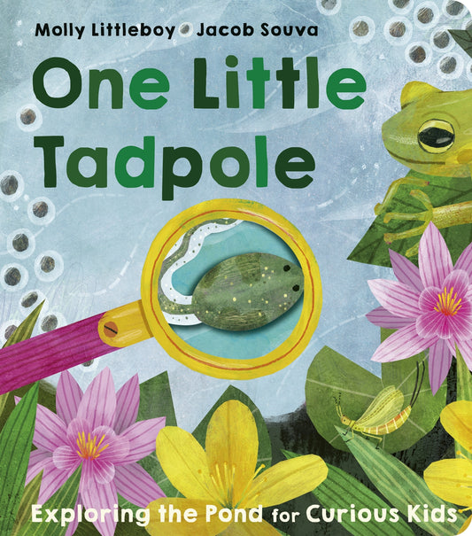 One Little Tadpole - By Molly Littleboy, Illustrated by Jacob Souva