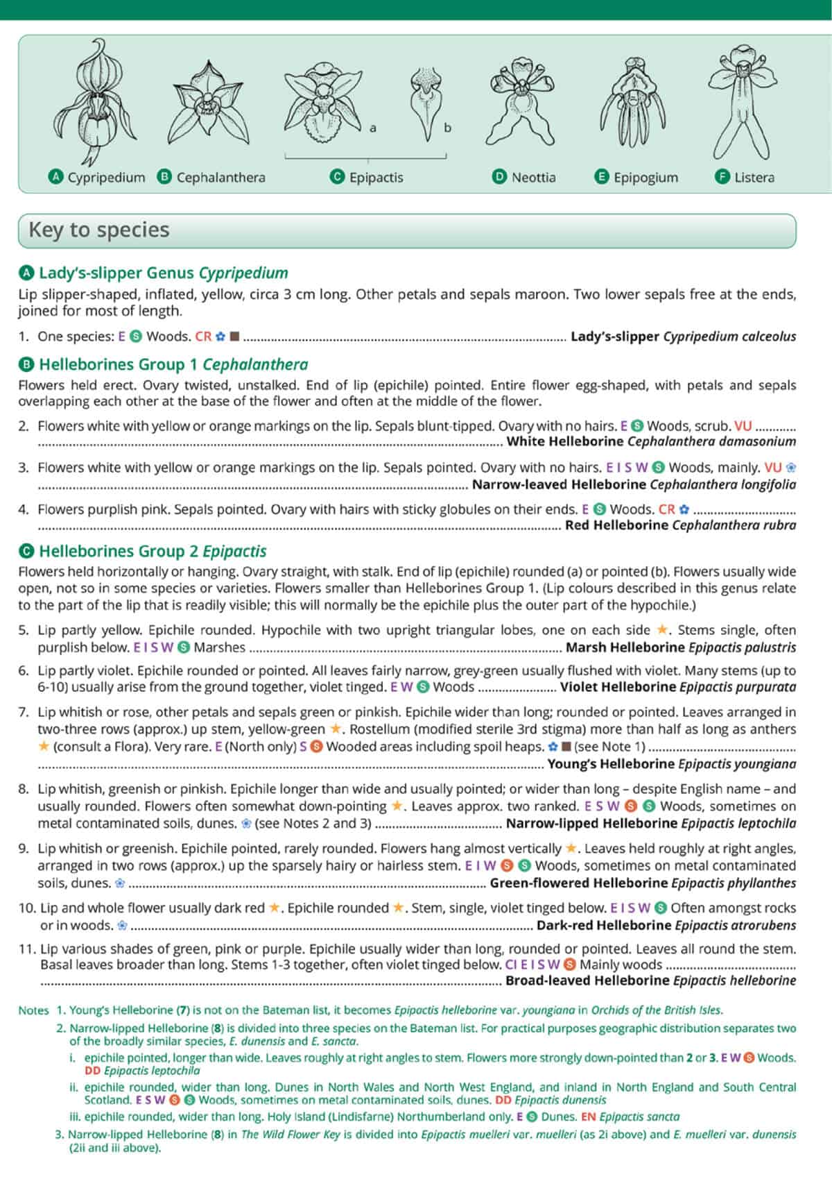Orchids - Wild ID Guide