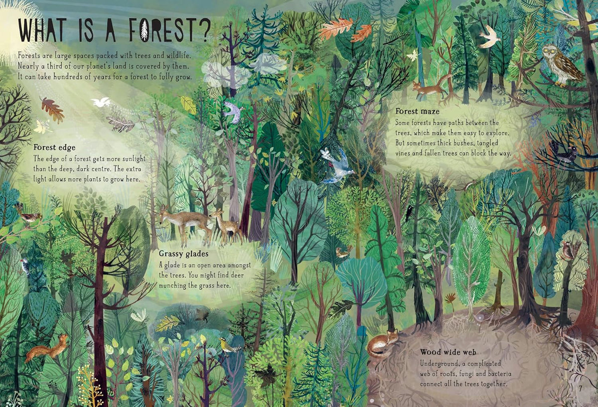 Our Forests - By Yuval Zommer (Hardback)