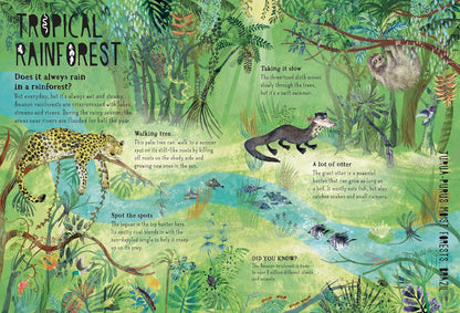 Our Forests - By Yuval Zommer (Hardback)